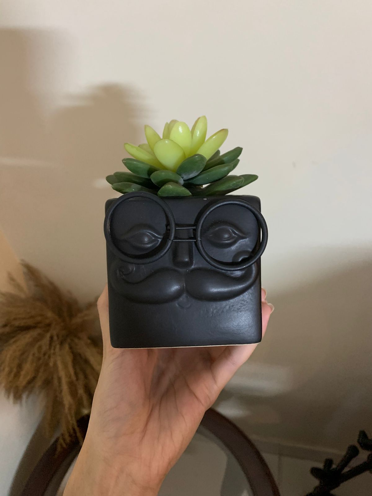 Phool-o-Sopher - Premium Ceramic Planter