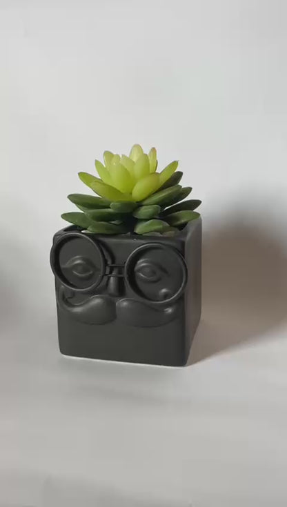 Phool-o-Sopher - Premium Ceramic Planter